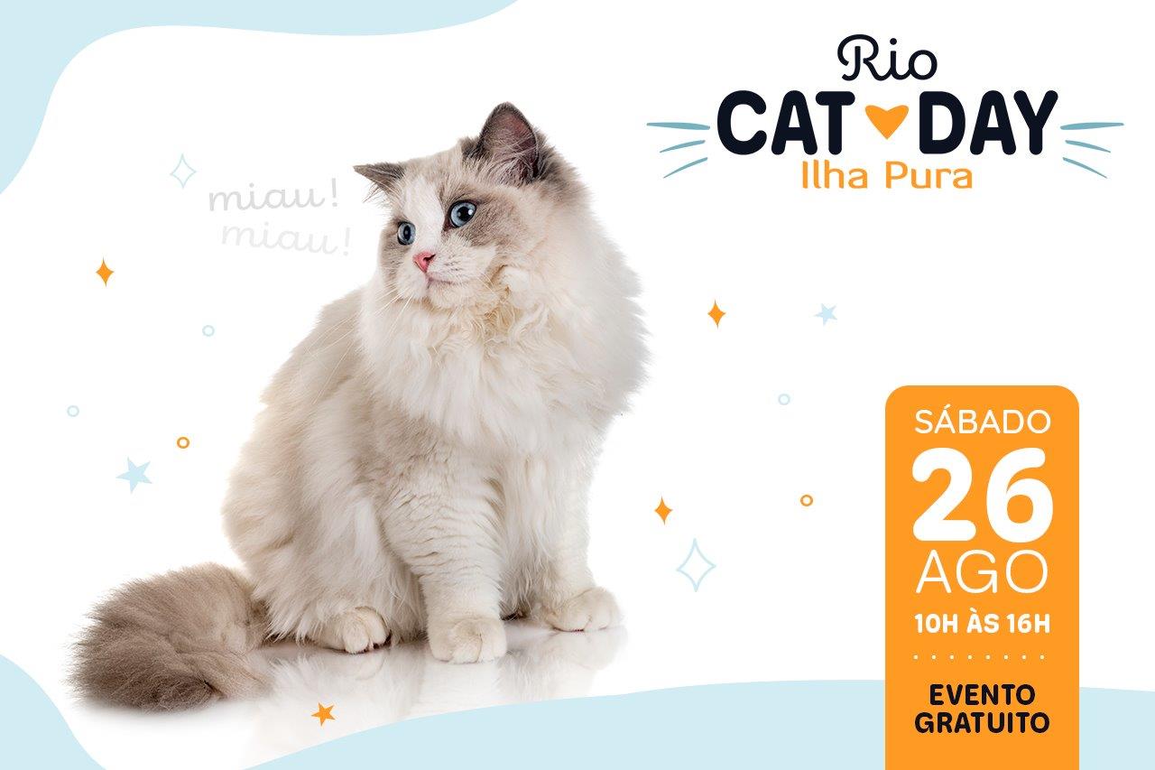 Rio Cat Day Ilha Pura: exposição reúne 12 raças de gatos
