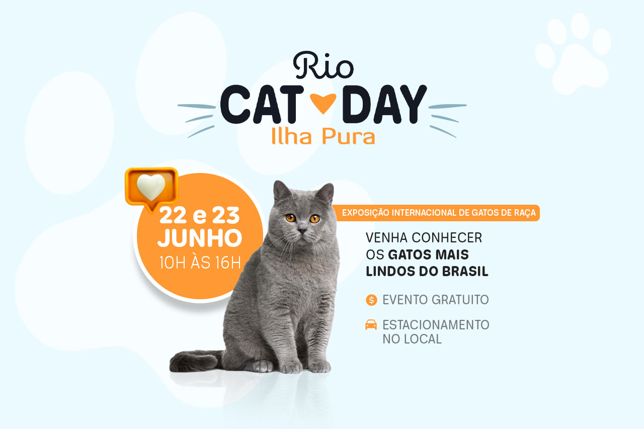 2ª edição do Rio Cat Day Ilha Pura terá raças exóticas, feirinha pet e food trucks