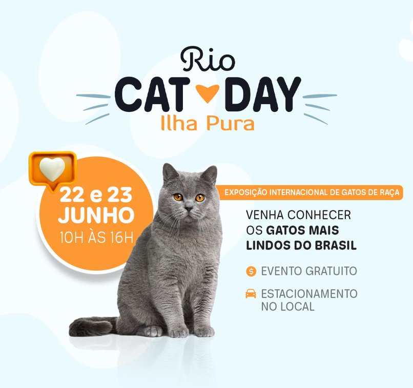 2ª edição do Rio Cat Day Ilha Pura terá raças exóticas, feirinha pet e food trucks